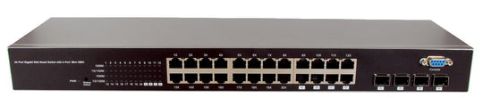 SANSWITCH-G2404